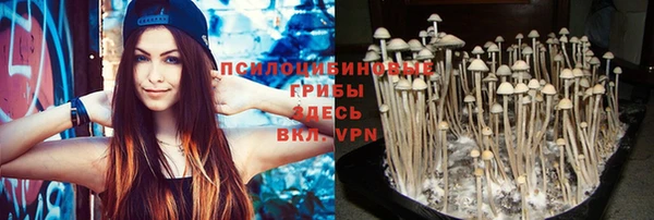 ALPHA-PVP Верхний Тагил